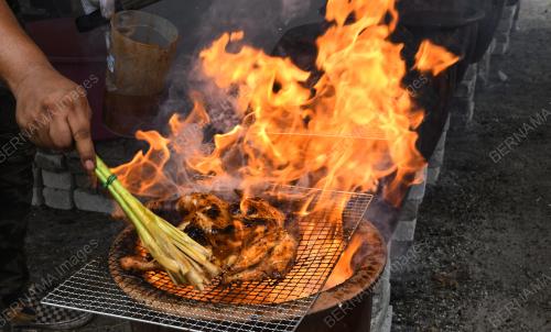 AYAM PASU
