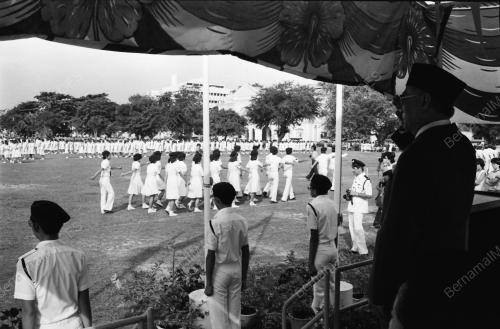PALANG MERAH