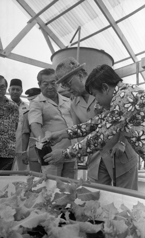 PG15_19012015_HARI_PETANI