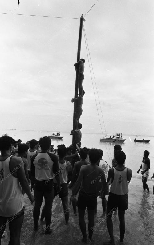 PG16_14072015_PESTA