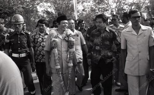 MUSA HITAM