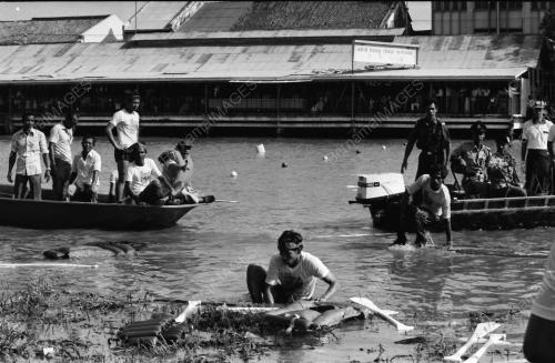 HARI KEPUTERAAN