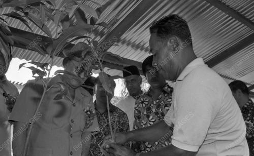 PG17_19012015_HARI_PETANI