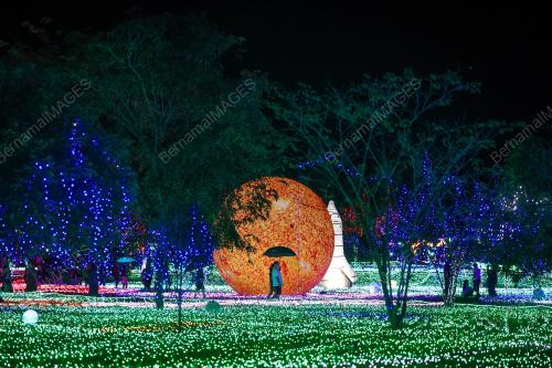 LUNA LIGHT WONDERLAND 2023