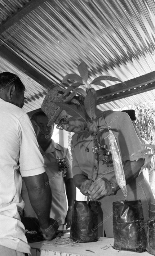PG19_19012015_HARI_PETANI