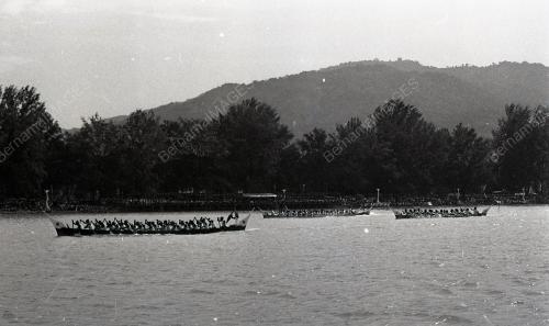 FESTIVAL BOT ANTARABANGSA