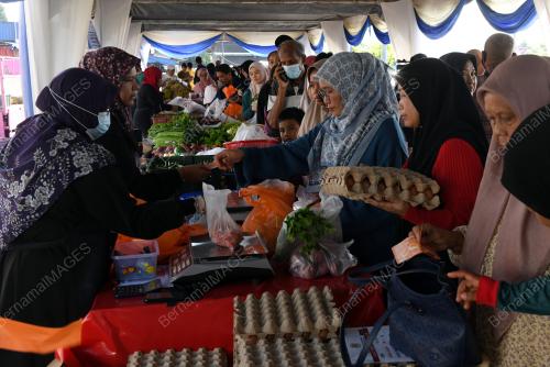 JUALAN TERMURAH MADANI