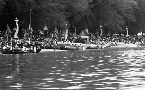 PG21_14072015_PESTA