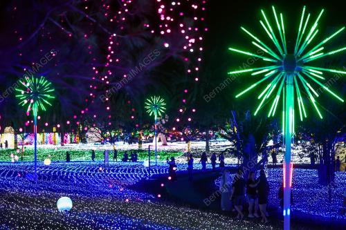 LUNA LIGHT WONDERLAND 2023