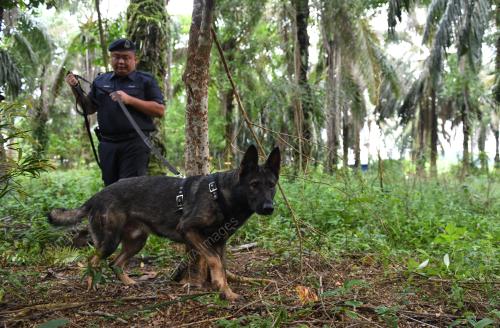 OPERASI MENCARI