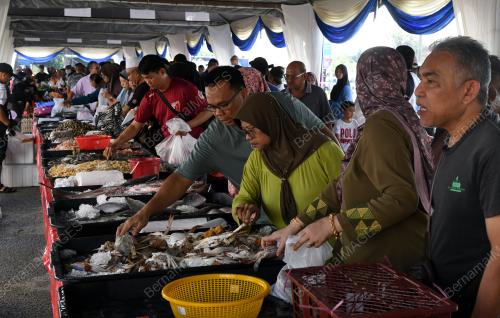 JUALAN TERMURAH MADANI