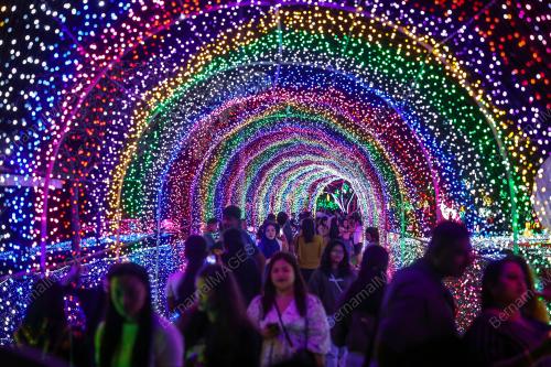 LUNA LIGHT WONDERLAND 2023