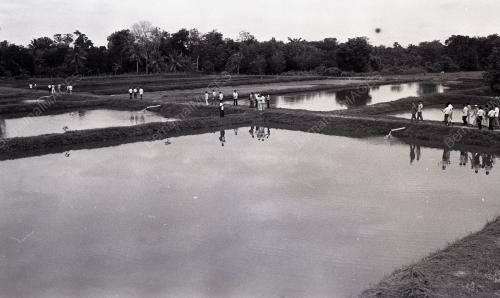 PROJEK PEMBANGUNAN