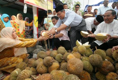 PILIHAN RAYA KECIL DUN PERMATANG PASIR