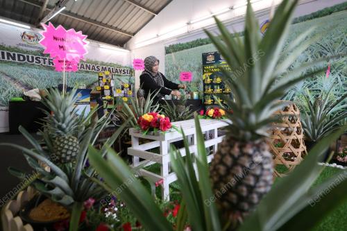 LEMBAGA PERINDUSTRIAN NANAS MALAYSIA