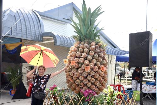 LEMBAGA PERINDUSTRIAN NANAS MALAYSIA