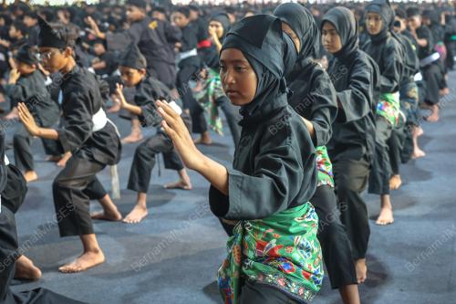 HIMPUNAN PENDERKAR MADANI