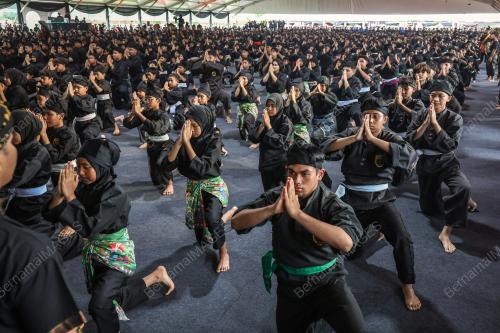 HIMPUNAN PENDERKAR MADANI