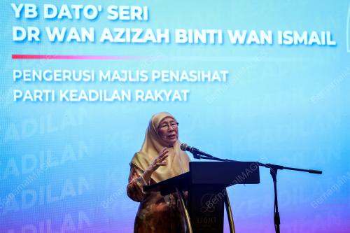 DATUK SERI DR WAN AZIZAH WAN ISMAIL