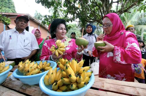 PH00_31032012_ROSMAH