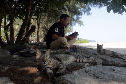 TINJAUAN SEMPENA HARI NUZUL QURAN