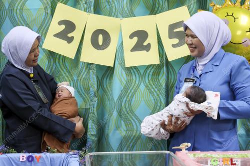 BAYI TAHUN BAHARU 2025