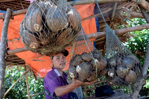 PENJUAL LOKAN