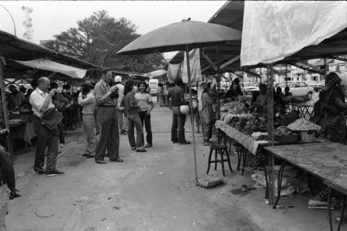 PELANCONG ASING