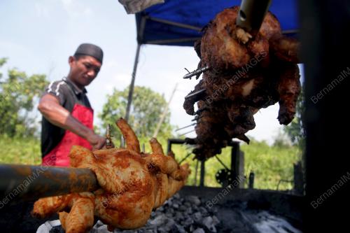 PENIAGA AYAM PANGGANG GOLEK