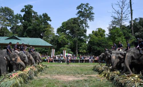 PH01_02092018_GAJAH_BN201809017120