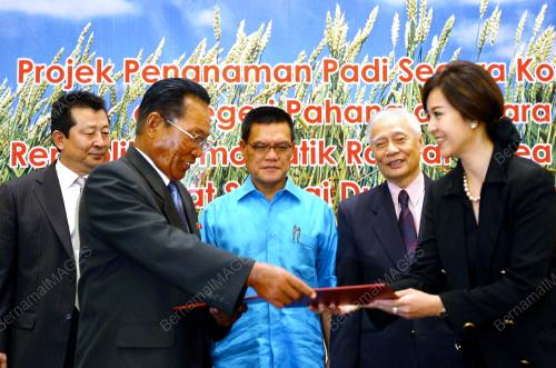 ADNAN YAAKOB