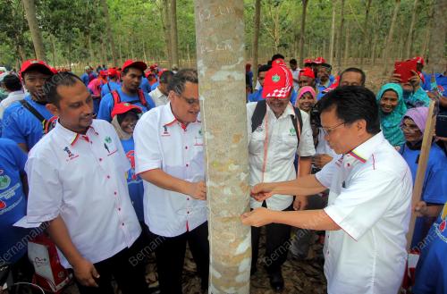 PH01_04042015_SHAFIE