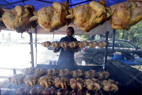 PENIAGA AYAM PANGGANG GOLEK