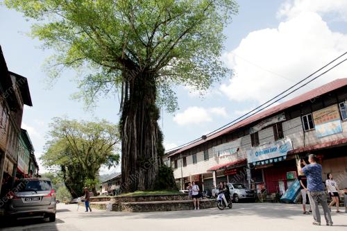PELANCONGAN PEKAN SUNGAI LEMBING