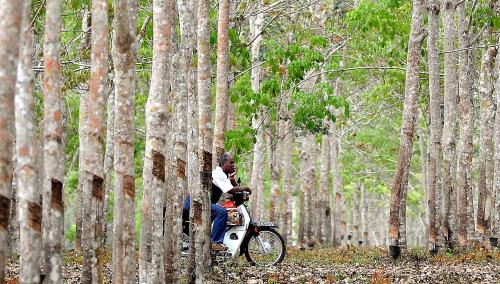 PH01_05032014_KEMARAU