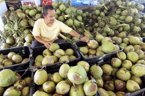 PH01_05042016_KELAPA