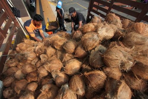 PH01_05052019_KELAPA