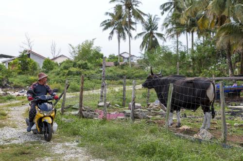 LEMBU KORBAN AIDILADHA