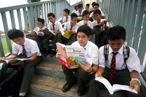 PMR 2010