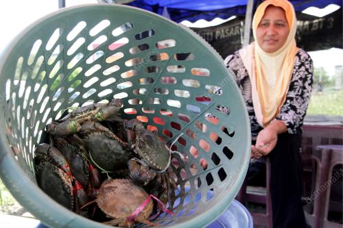 PH01_05102019_KETAM