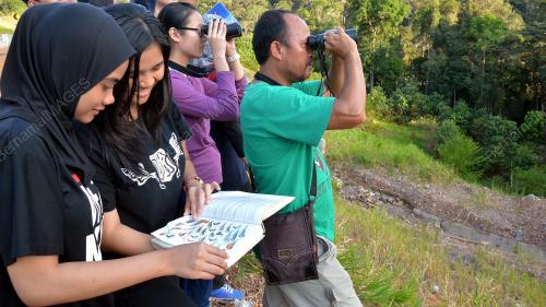 PH01_07032016_BIRD_COUNT