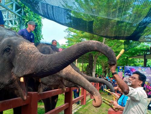 PH01_07092019_GAJAH