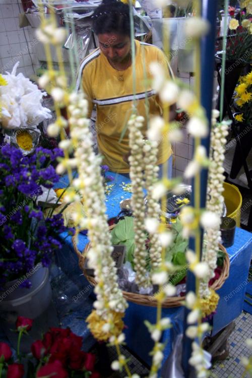 BUNGA_DEEPAVALI