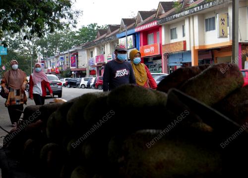 PEMAKAIAN PELITUP SEPARUH MUKA