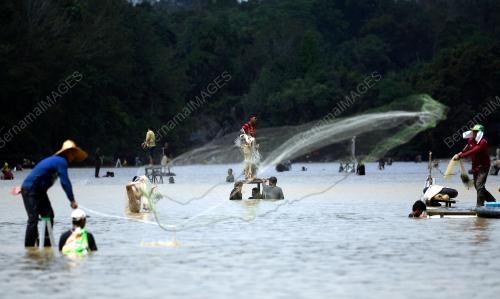 PESTA MENJALA IKAN