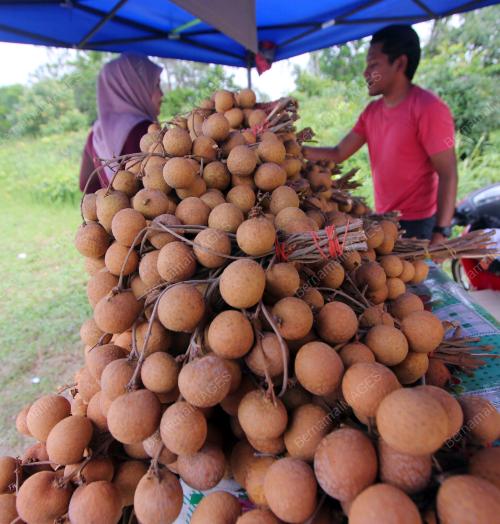 PH01_09072018_LONGAN