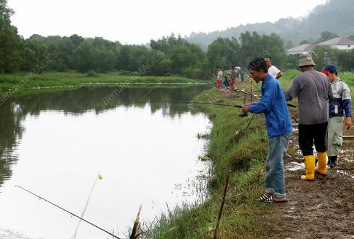 MEMANCING