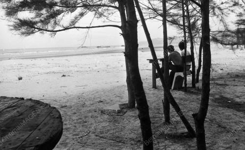 PH01_10081984_PANTAI