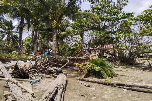 RUMAH PPRT DI KAMPUNG JAWA BERDEPAN DENGAN HAKISAN PANTAI