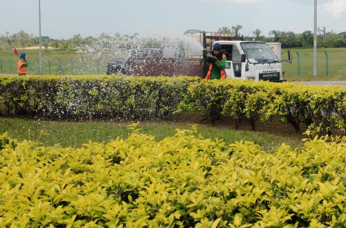 SIRAM POKOK HIASAN